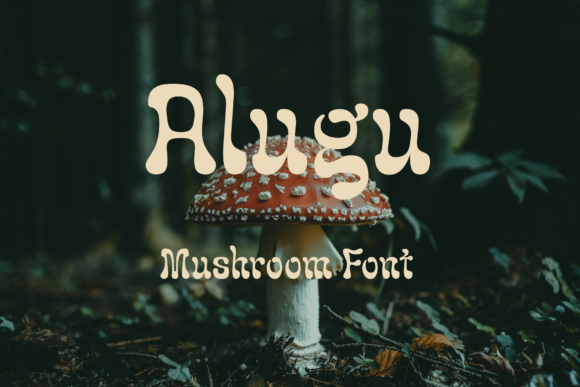 Alugu: A Display Font with Quiet Confidence