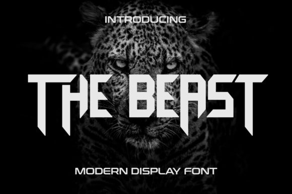 The Beast Display Font for Handmade Product Design